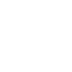 raised paw icon - white
