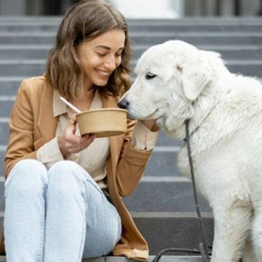 A person kneels on outdoor stone steps, smiling and holding a small bowl while feeding a large white dog with a leash.
