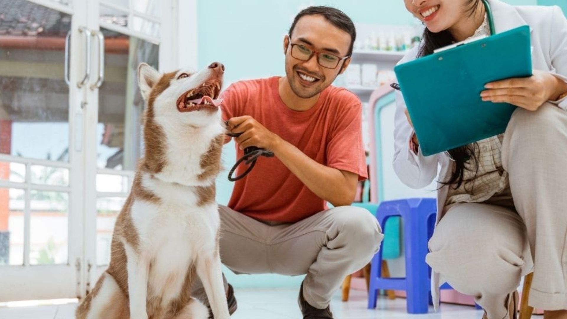 A veterinarian kneels beside a seated dog indoors, smiling as they examine it while a colleague in scrubs holds a clipboard and observes.