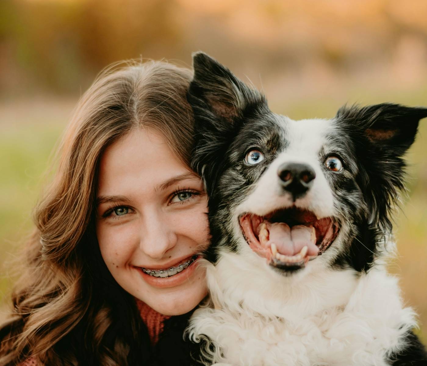 Close-up of a smiling person holding a black-and-white dog with bright eyes and an open mouth, outdoors with a soft, blurred golden background.
