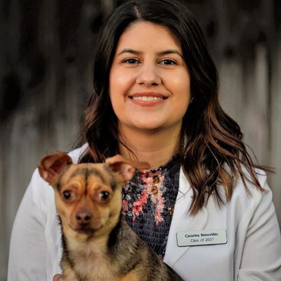 Dr Catarina benavides