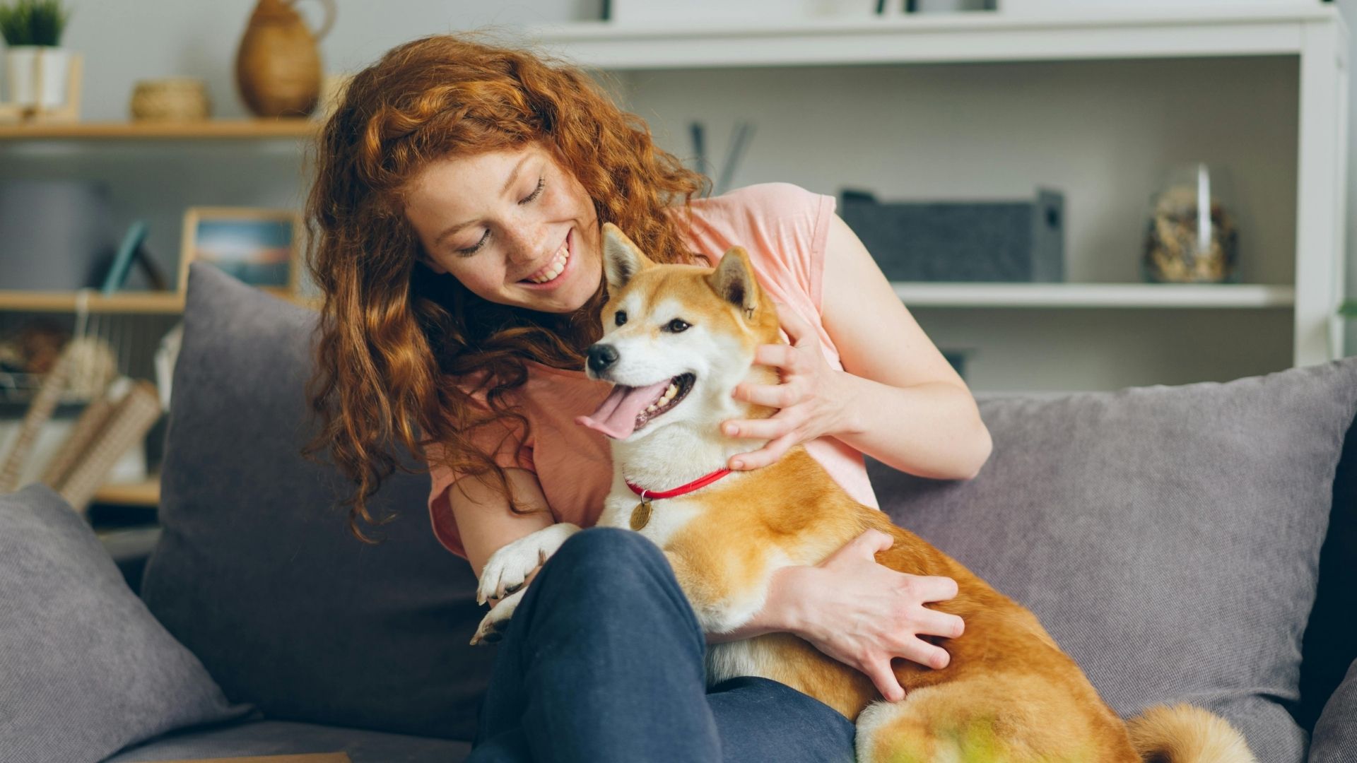 A person cuddles a corgi on a gray couch in a bright living room, smiling as the dog rests its front paws on their lap; a book and a small plant sit on the table in the foreground.