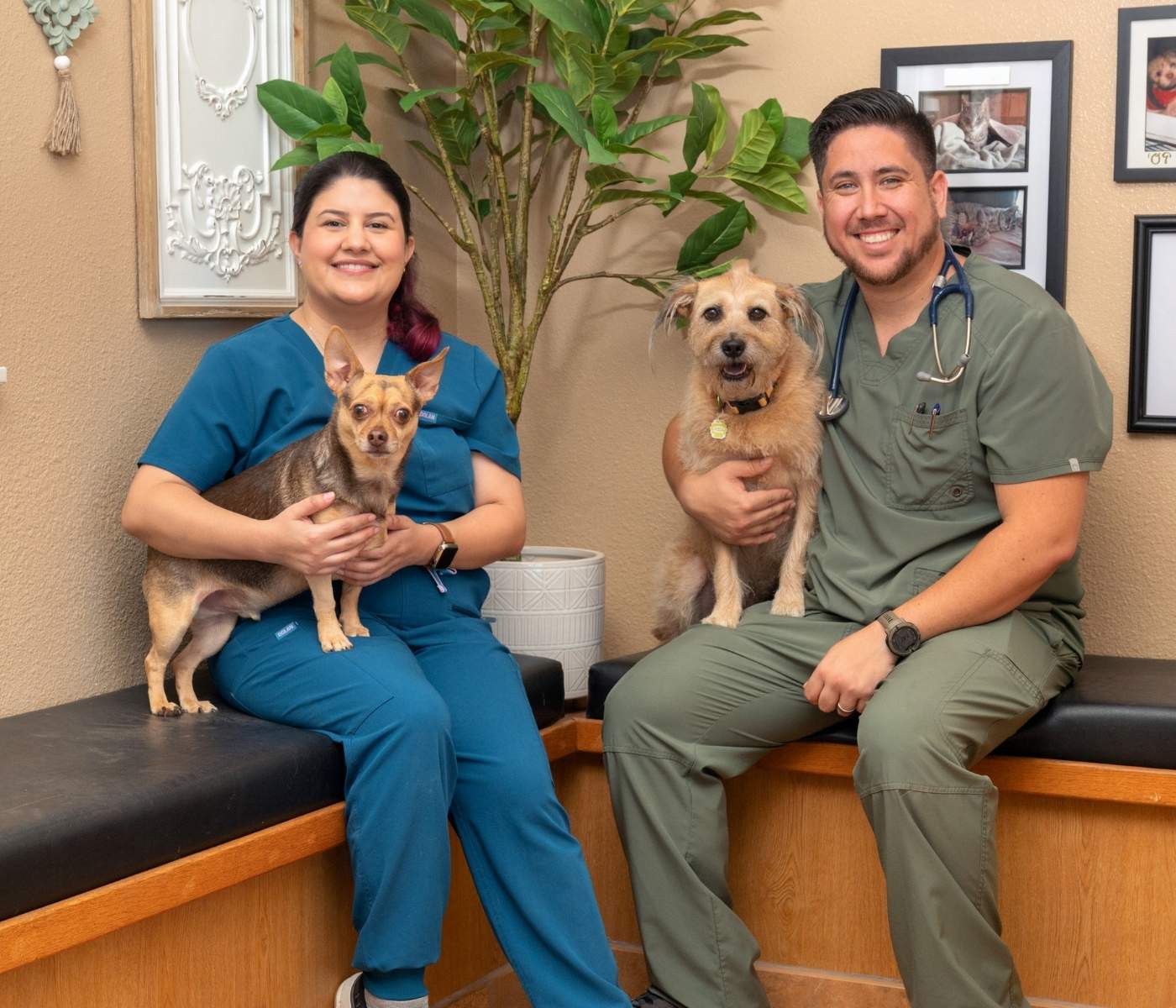 Two veterinary staff members seated on a bench holding small dogs in a clinic room with framed photos on the wall and a potted plant behind them.