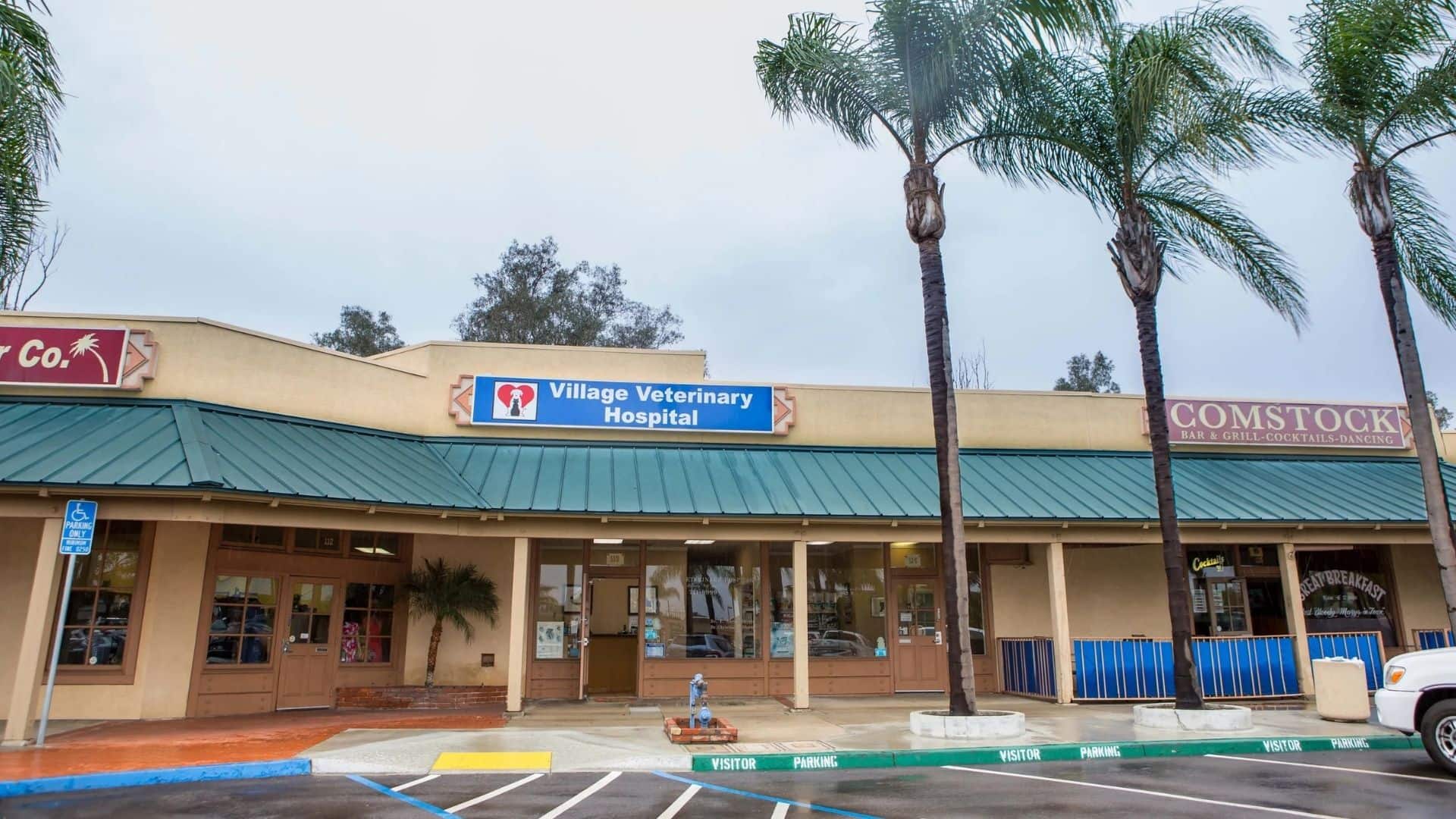 Hospital front Front of a strip mall with storefront signs reading “Village Veterinary Hospital” and “Comstock,” blue awning, palm trees, parking lines, and a clear sky.