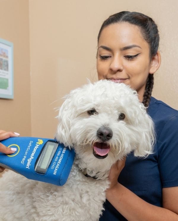 A person in blue scrubs holds a large blue dog food bag while hugging a fluffy white dog with its tongue out in an indoor clinic room.