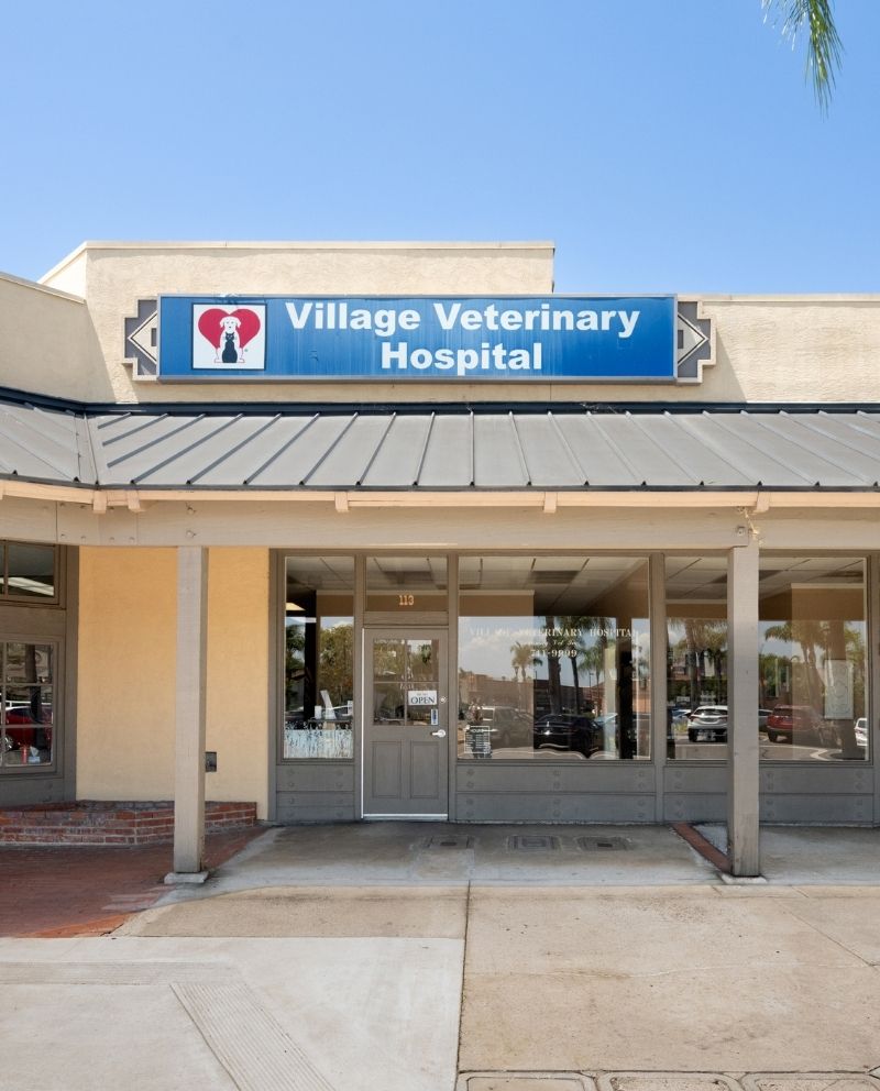 Village Veterinary Hospital building entrance with a blue-and-white sign above glass doors and a covered driveway under a clear blue sky.