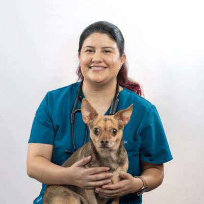 Dr. Cat